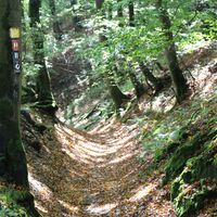 Hohlweg in Düdinghausen