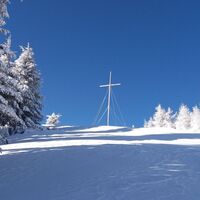 Schneeschuh-Runde am Brandkogel_Gipfelkreuz