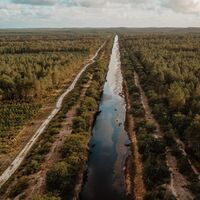 Canal des étangs du Porge © Clément Chambaud & Lycia Walter