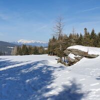 2.1 km "Klein Teufelchenstein" und Windpark Hochpürschtling