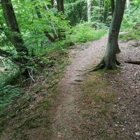 Pfad bei der Klingenklamm