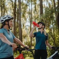 Radtour am Donauradweg Aulandschaft Enns
