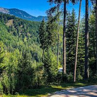 Forststrasse in Richtung Weißenbach
