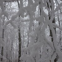 am Wander-und Pilgerweg Richtung 7110