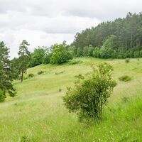 Naturschutzgebiet Egenhäuser Kapf