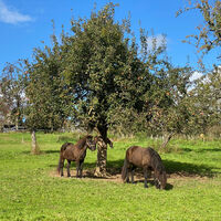 Dorfidylle bei Völkersbach