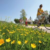 Radfahrer in Radfeld