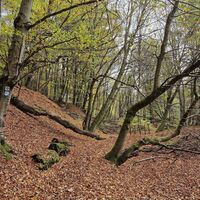 Am Brandsbach entlang zur ehemaligen Verlademauer