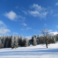 Ebenwald - Reisalpe