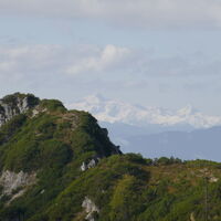 Blick zur Hochwildstelle