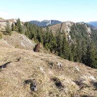 am Kaiserstein