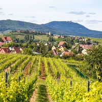 Bennwihr