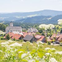 Blick vom Roßberghang übers Dorf