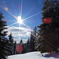 Feistritzsattel - Harterkogel