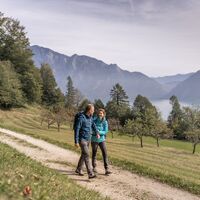 Attersee-Attergau
