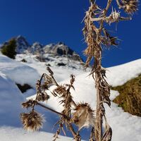 Winterlandschaft