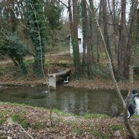 Fischwasserung Im Eihlert