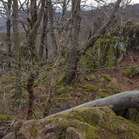 Vom "höchsten" der Gerbersteine zur Aussichtskanzel