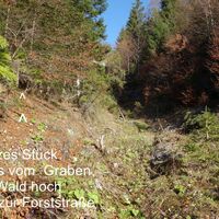 Aufstieg links im Wald weglos