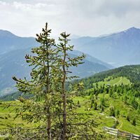 Tief unten unser Ausgangpunkt, die „Winklerner Hütte“.