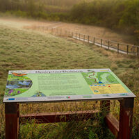 EifelSchleife Moorpfad, Infotafel am Wanderweg