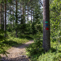 Die Mountainbike- und Wanderstrecken von Raahen Hummastinvaaran sind gut markiert