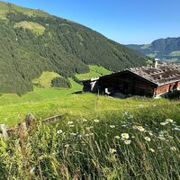 Stettauer Almen