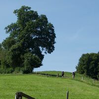 Schönentannen - Alpenpanoramaweg Etappe 18