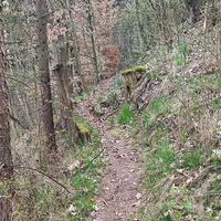 Steilstufe neben Schwaiblbach