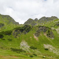 die Spitzen des Hahnenkamms werden deutlicher