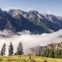 am Weg zum Feilkopf - Blick ins Falzthurntal
