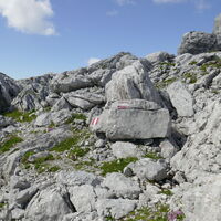 dann gehts, typisch fürs Tote Gebirge, zwischen massiven Felsblöcken auf und ab