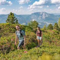 Wandern am Pleschnitzzinken