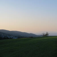 Sonnenuntergang mit Alpenblick bei Rickenbach