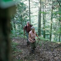 Wandern