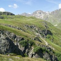 Tschiffernella