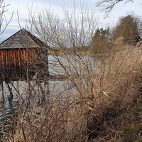 Fischerhütte am Ulrichsteich
