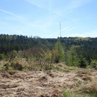 Ausblick zum Jauerling Burgstock
