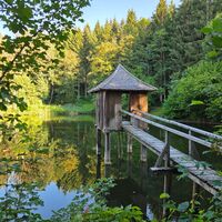 Fischteich beim Schloss Gradisch