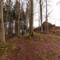 Aufstieg zum Kreuz auf dem Steinberg