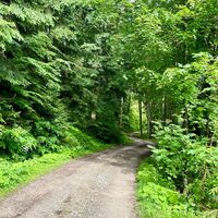 Sulzbachtrail