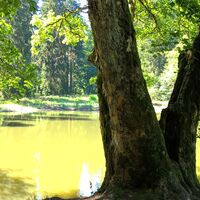 Knöpfelstaler Teich