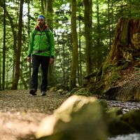 Im_Bannwald_wandern_Ottobeuren