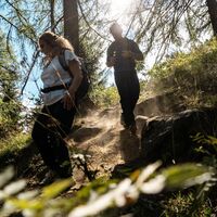 Wandern durch den geschützten Wald