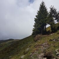 Hochalmsteig
