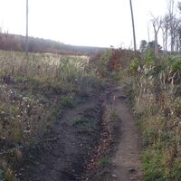 am Weg "Steiniger Weg" im "Steiniger Wald"