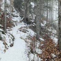 Wanderpfad