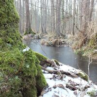 Winterimpression