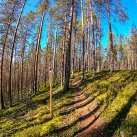 Der letzte Teil der Strecke führt durch wunderschönes Moorland