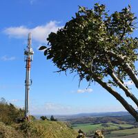 Aussicht vom Großen Hörselberg bei Eisenach